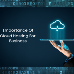 Importance Of Cloud Hosting For Business
